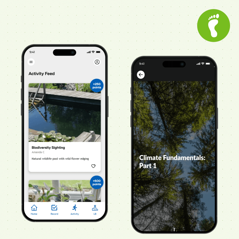 Real Climate Impact- Green Rewards